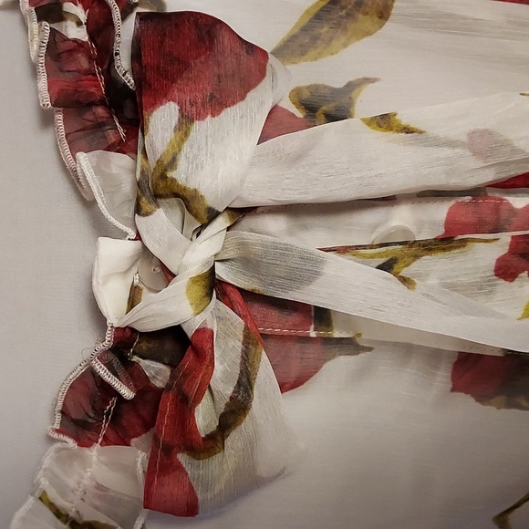 Dolls Kill Sugar Thrillz NWT White Red Rose Sheer Chiffon Babydoll Mini Dress M - Picture 4 of 8